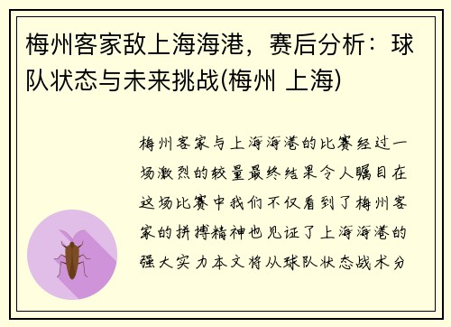 梅州客家敌上海海港，赛后分析：球队状态与未来挑战(梅州 上海)