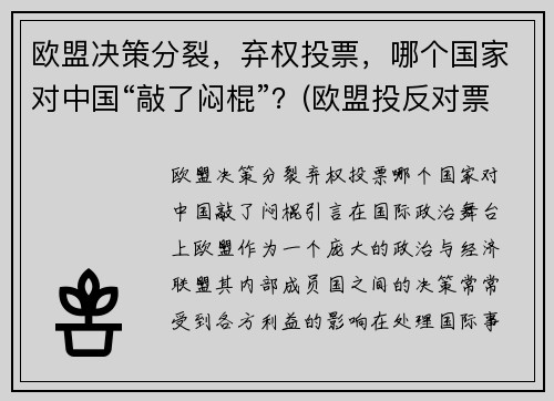 欧盟决策分裂，弃权投票，哪个国家对中国“敲了闷棍”？(欧盟投反对票)