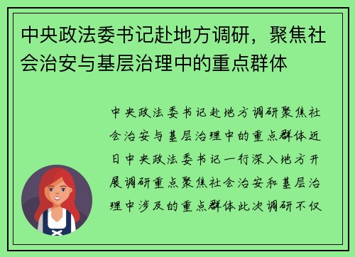 中央政法委书记赴地方调研，聚焦社会治安与基层治理中的重点群体